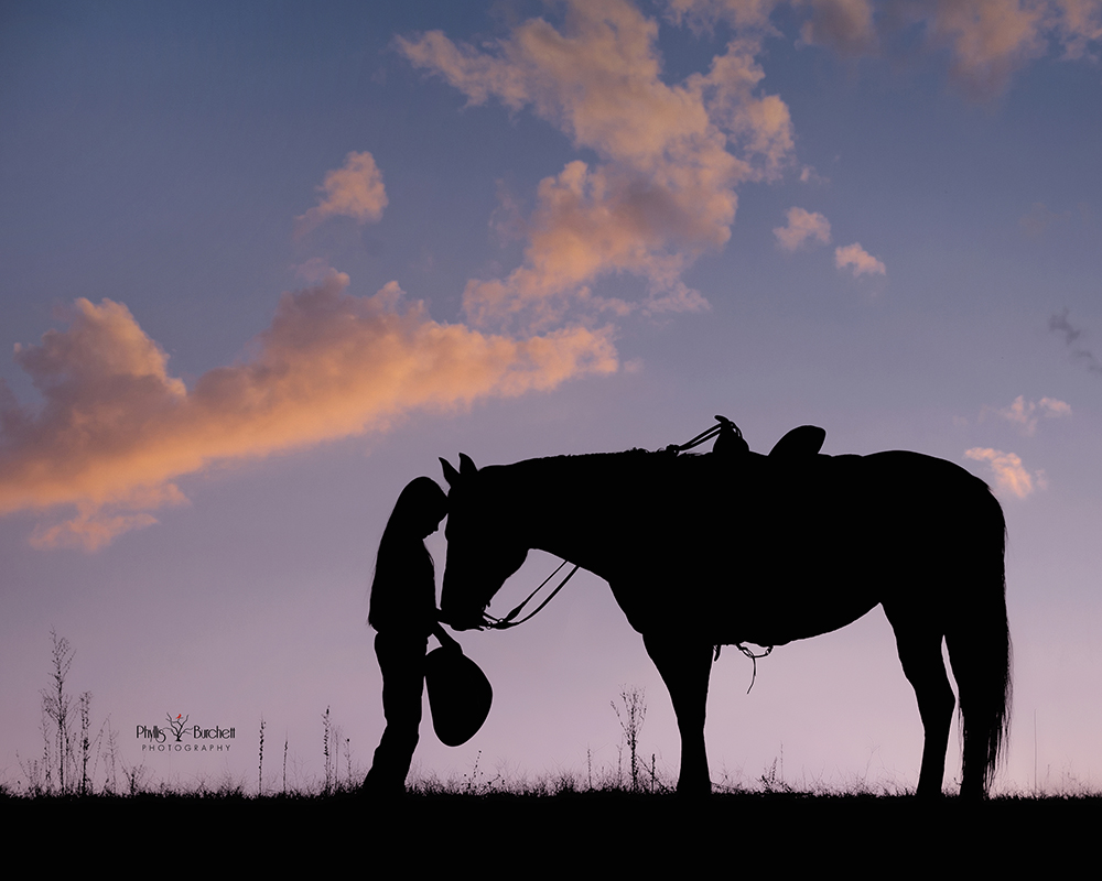 PBurchett_Silhouette