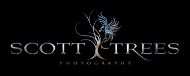 Scott's Logo