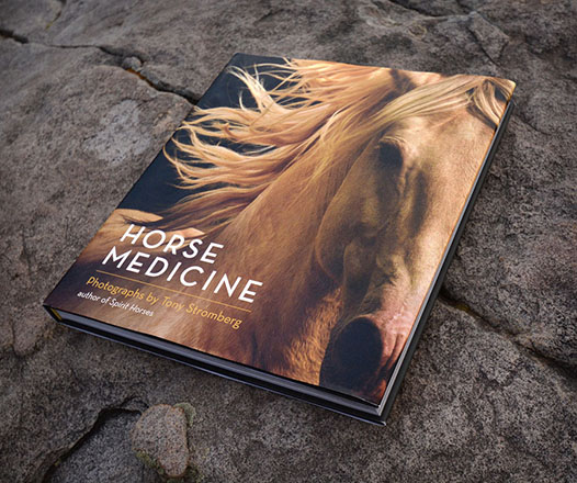 horsemedicine