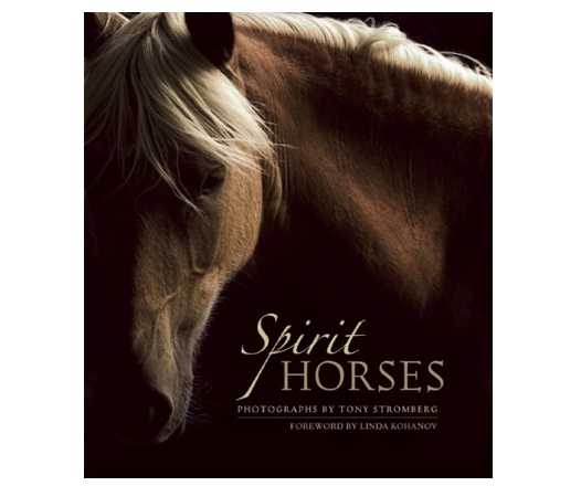 tsp_books-spirithorses