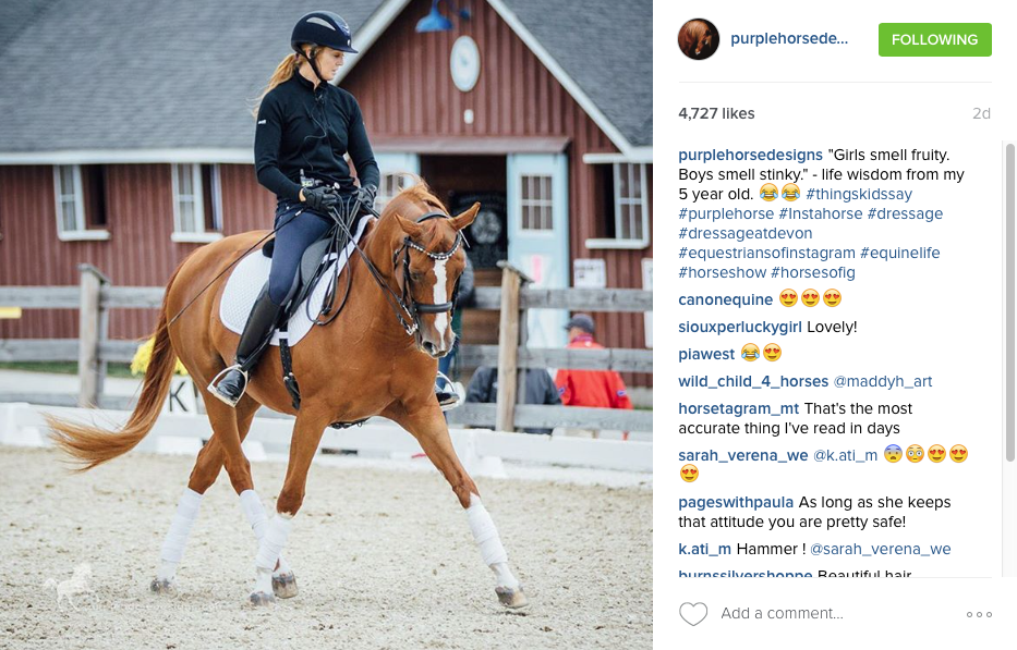 Purple Horse Design One Instagram Post Example