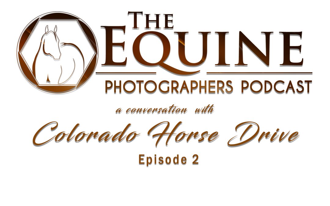 2 : Colorado Horse Drive: Equine Photography Workshops, Tours, and Learning in the Field