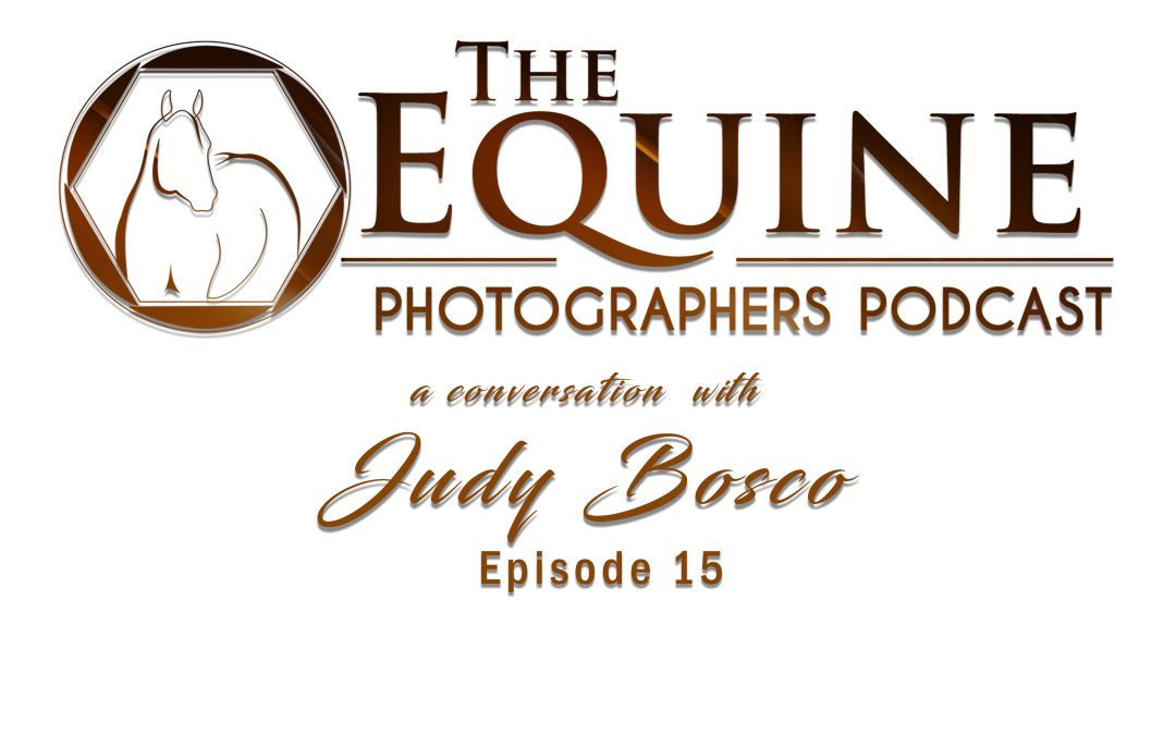 15 : Judy Bosco: Balancing Equine Photography, Business, and Life Behind the Lens