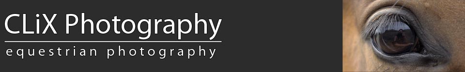 Clix Photography Logo for Equine Photographers Podcast