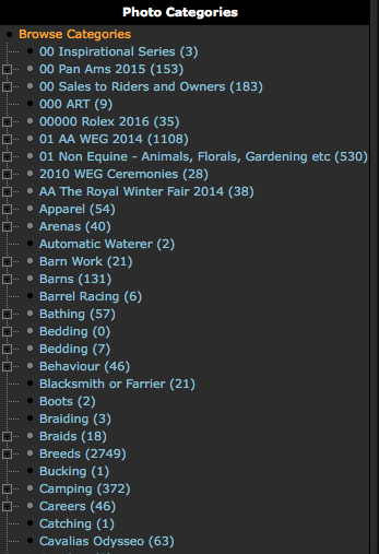 Screen Shot 2016-06-15 at 4.02.59 PM