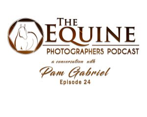 Equine Life, Photography & Teaching with Pam Gabriel
