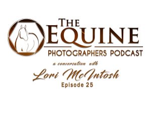Lori McIntosh: Equine Photography Journey from Childhood Passion