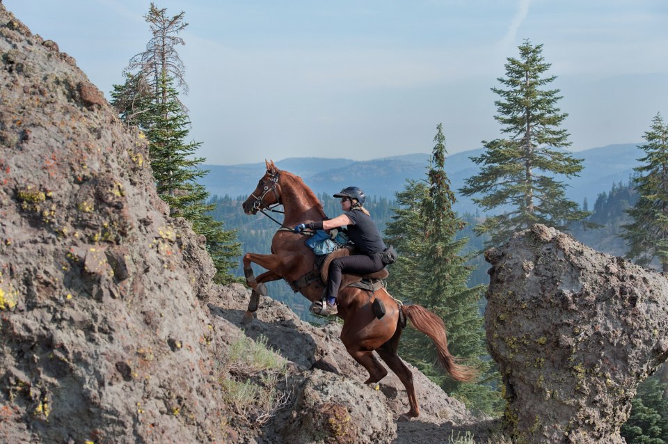 Lori McIntosh equine photographer with endurance horse