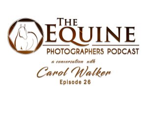 Carol Walker interview - fine art photography and wild horse conservation