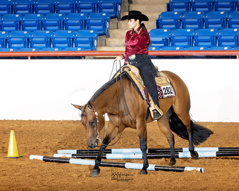 Trail horse working a pattern at a horse show