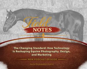 Episode 32: The Changing Standard: How Technology is Reshaping Equine Photography, Design and Marketing