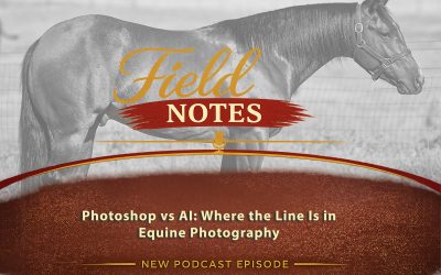 33: Field Notes – Photoshop vs AI: Where the Line is in Equine Photography (Part 2)