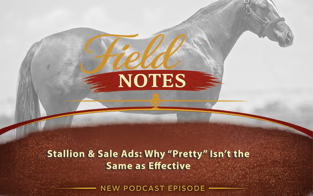 34: Field Notes – Stallion & Sale Ads: Why “Pretty” Isn’t the Same as Effective (Part 3)