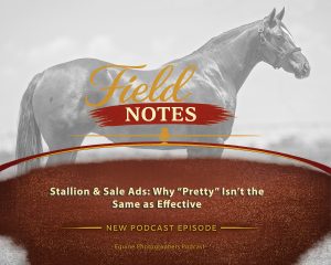 34: Field Notes - Stallion & Sale Ads: Why “Pretty” Isn’t the Same as Effective