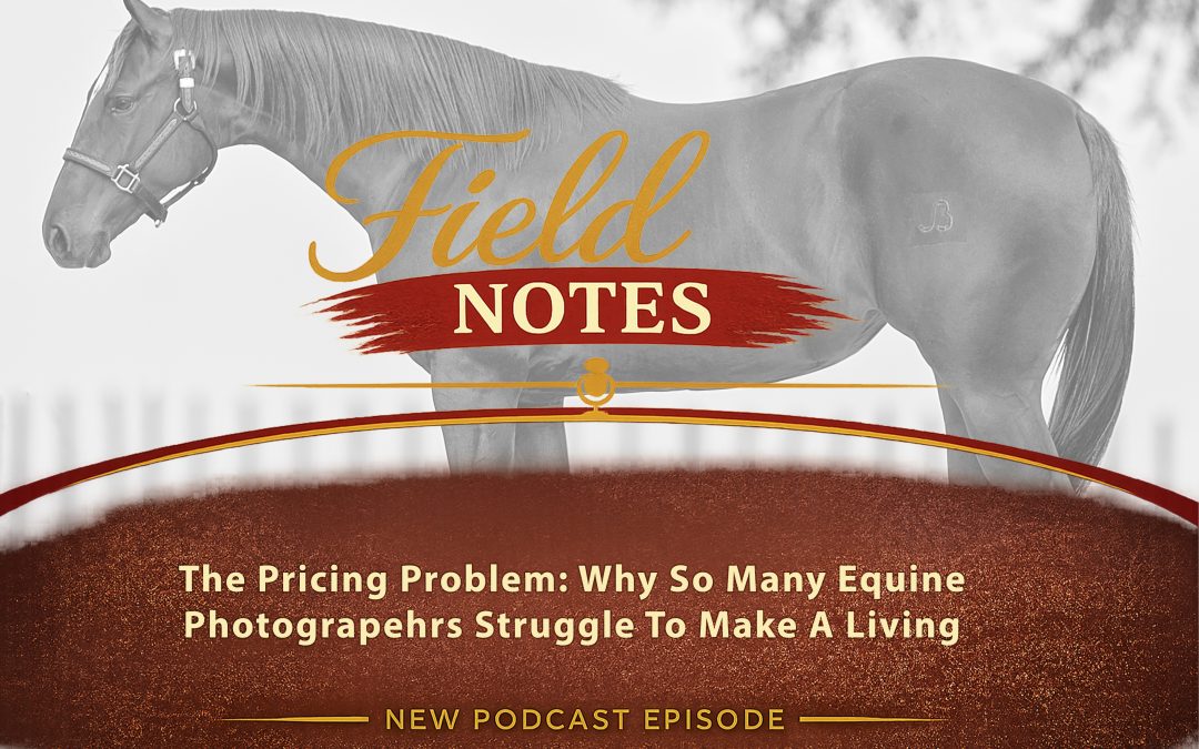 36: Field Notes – The Pricing Problem: Why So Many Equine Photographers Struggle to Make a Living (Part 5)