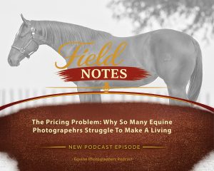 36: Field Notes - The Pricing Problem: Why So Many Equine Photographers Struggle to Make a Living