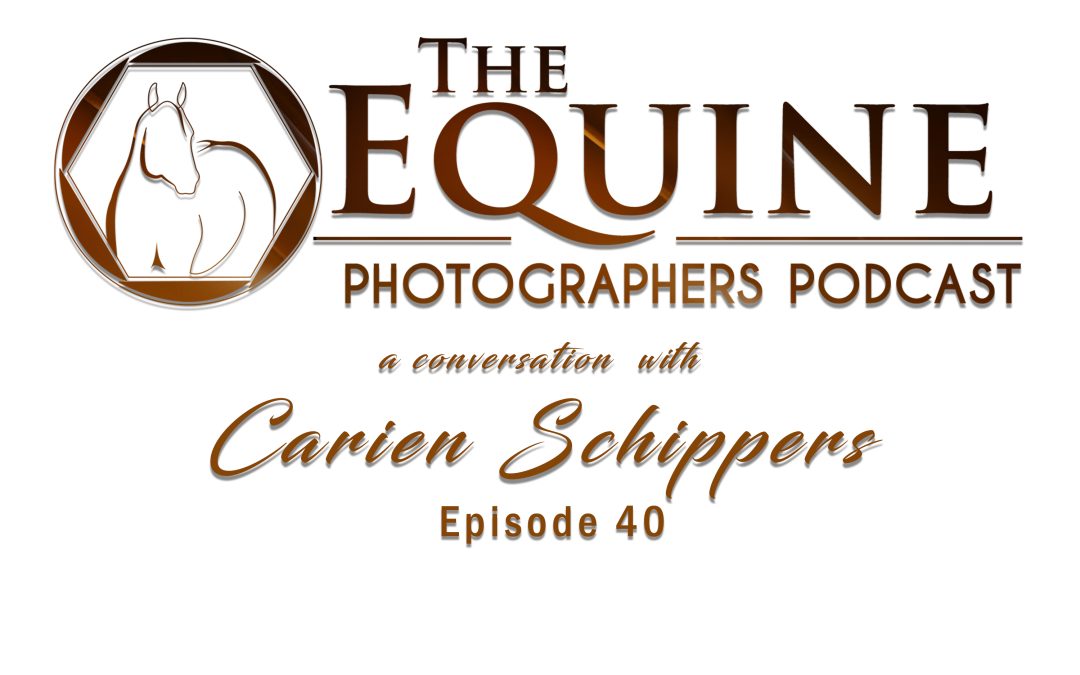 40: 10 Years Later: Carien Schippers