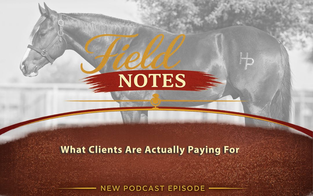 42: Field Notes – What Clients Are Actually Paying For
