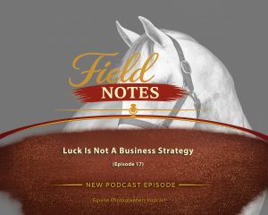 Luck Is Not A Business Strategy