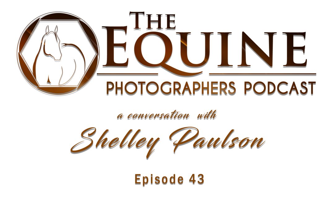 43: 10 Years Later: Shelley Paulson