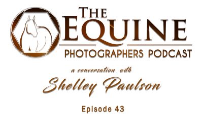 43: 10 Years Later: Shelley Paulson
