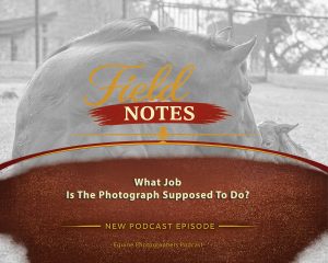 49: Field Notes - What Job Is the Photograph Supposed to Do?