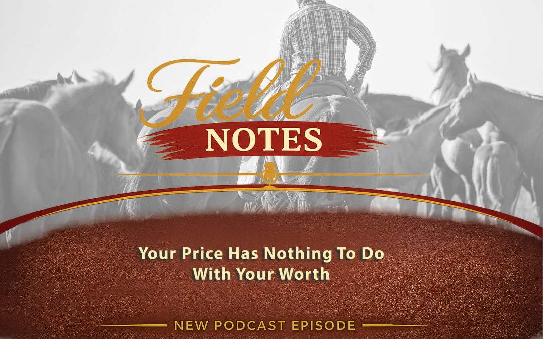 50: Field Notes – Your Price Has Nothing to Do With Your Worth